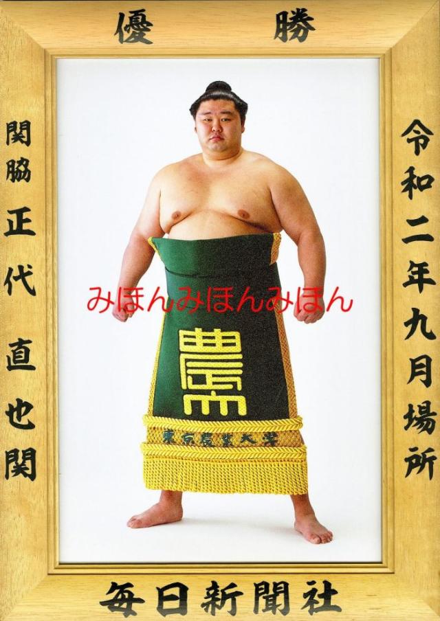 単行本】 柴崎哲 / 写真で学ぶ犬と猫の心エコー図検査のabc 基本