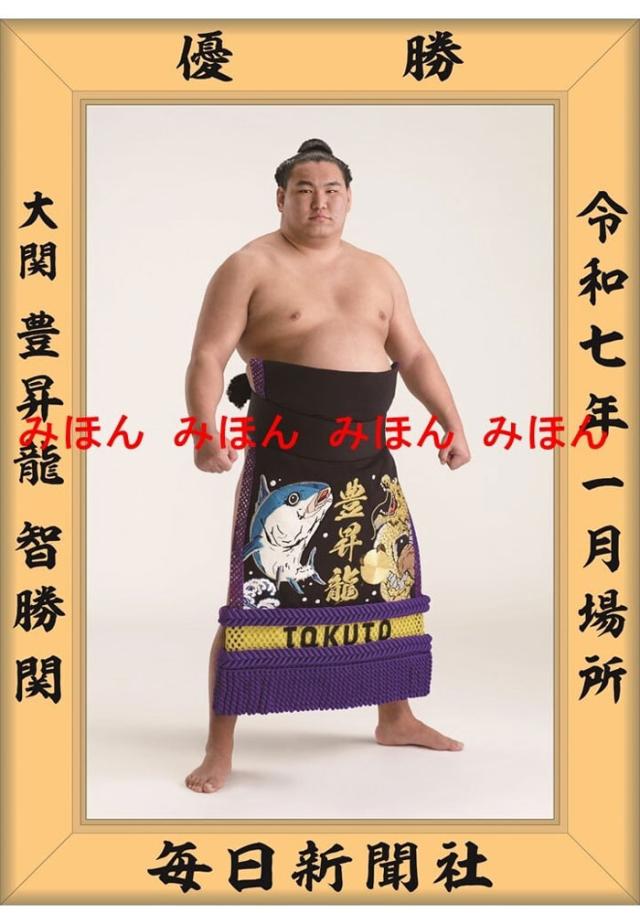 大相撲優勝額　ミニチュア版　朝青龍①