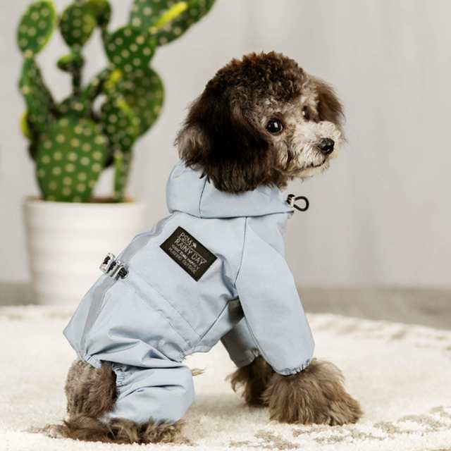 ブルー】【Mサイズ】 犬 レインコート 着せやすい 通販 小型犬 中型犬