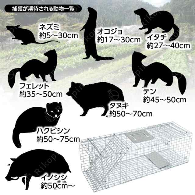 動物捕獲器 動物捕獲檻 猫 アニマルトラップ Mサイズ 66cm×26cm×23cmトラップ 箱罠 イタチ 駆除 捕獲 踏板式 捕獲機 動物 小動物  子猫 罠 鼠 保護 庭 畑 餌 アニマルキャッチャーの通販はau PAY マーケット - ご褒美TRAVEL | au PAY マーケット－通販サイト