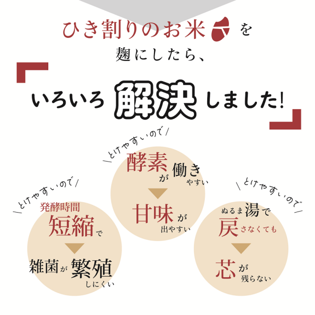 国産米 こうじや里村 米こうじ 300g×20個 送料無料 麹水 糀水 乾燥 米麹 米糀 甘酒 塩麹 醤油麹 味噌 こうじ漬 甘麹 甘こうじ 塩麹 塩こうじ 発酵あんこ こうじ水 こうじすい 乾燥米麹 コーセーフーズ