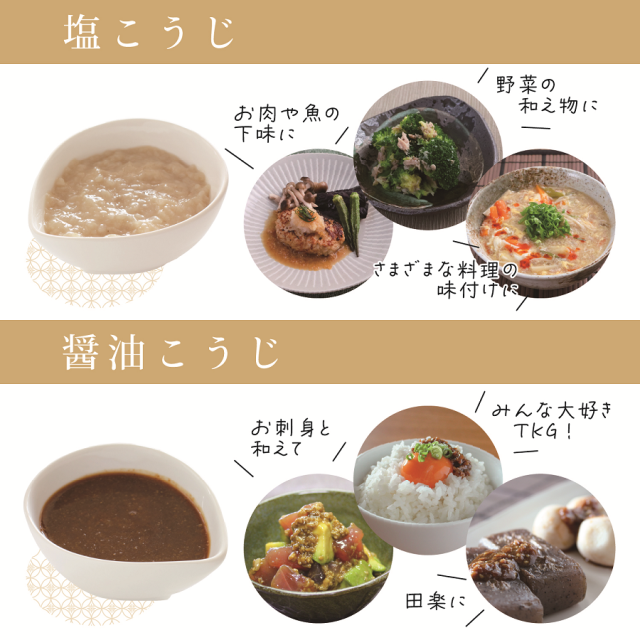 国産米 こうじや里村 米こうじ 300g×20個 送料無料 麹水 糀水 乾燥 米麹 米糀 甘酒 塩麹 醤油麹 味噌 こうじ漬 甘麹 甘こうじ 塩麹 塩こうじ 発酵あんこ こうじ水 こうじすい 乾燥米麹 コーセーフーズ