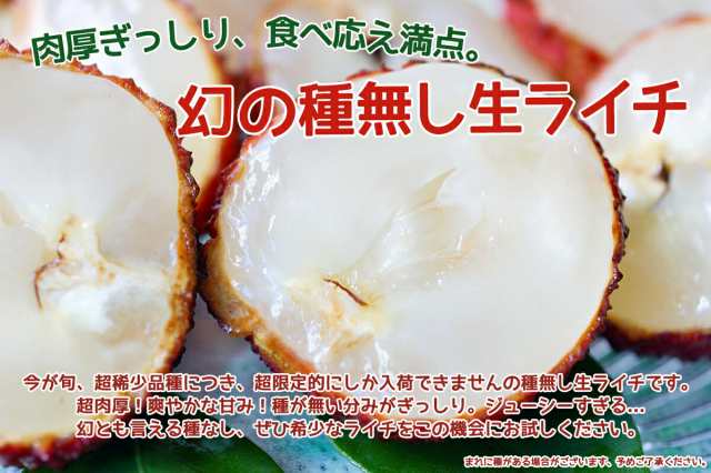 種無し生ライチ 約4kg 箱 80玉前後 超希少品種 中国産 種なしフレッシュライチ 食べ応え抜群 甘さたっぷりみずみずしい レイシ ｜au PAY  マーケット