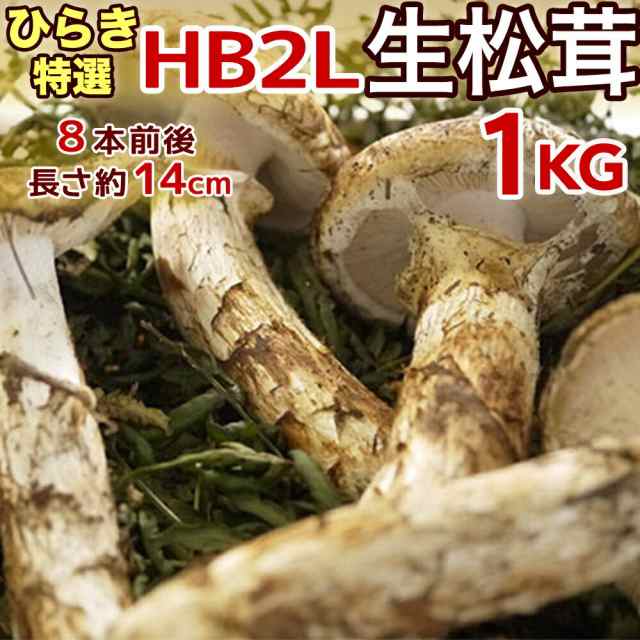 野菜中国産 松茸 約1kg まつたけ マツタケ。 - www.vibroservice.hu