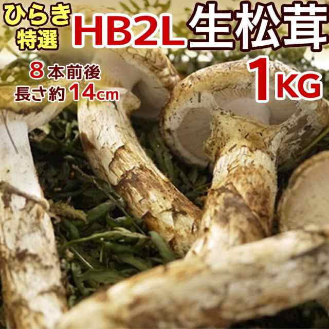 中国産 松茸 約1kg まつたけ マツタケ。野菜 - vanessamondin.com.br