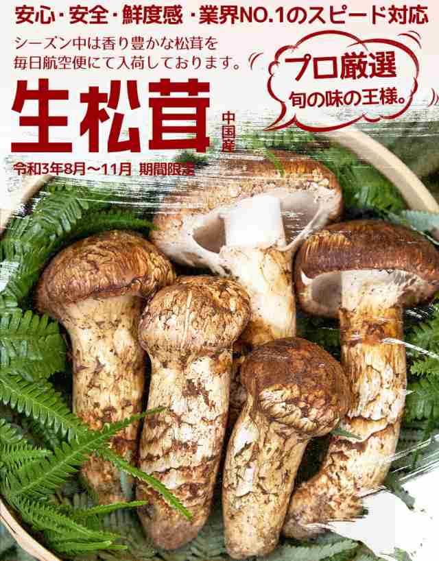 旬！松茸 1kg 箱売り - 食品