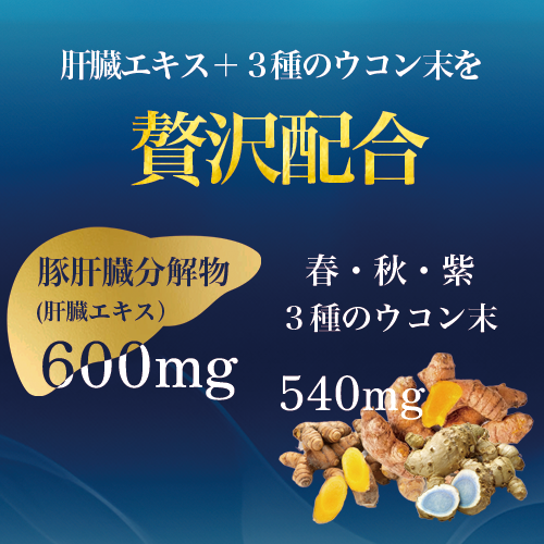 ★送料無料★ HISANO 肝臓エキス精NANOプレミアム360粒 健康補助食品 肝臓エキス＆3種のウコン 、 秋ウコン 春ウコン 紫ウコン（300mg×360粒）約60日分 【日本製】_3