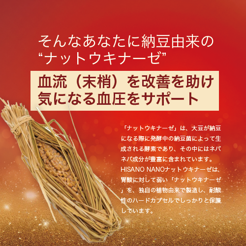 ★送料無料★ HISANO NANOナットウキナーゼ240粒ナットウキナーゼ活性480,000FU 健康補助食品 （333mg×240粒）約80日分 【日本製】_3