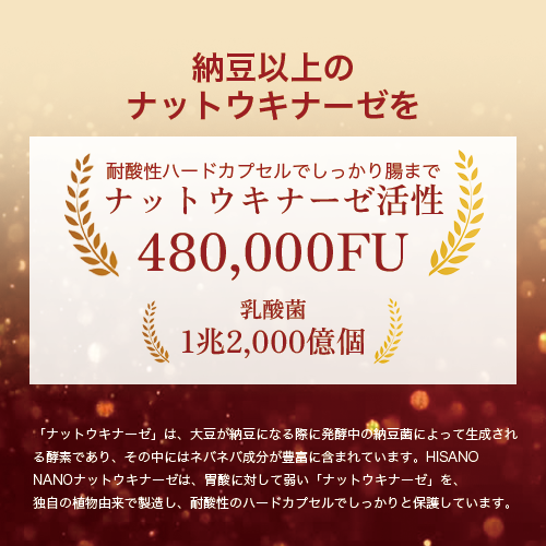 ★送料無料★ HISANO NANOナットウキナーゼ240粒ナットウキナーゼ活性480,000FU 健康補助食品 （333mg×240粒）約80日分 【日本製】_5