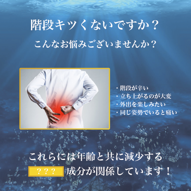 サメ軟骨パワープラス サメ骨100％ HISANO 日本製 健康補助食品 サプリメント コンドロイチン 関節サプリ（3375mg×300カプセル）50日分_1