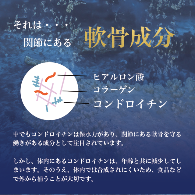 サメ軟骨パワープラス サメ骨100％ HISANO 日本製 健康補助食品 サプリメント コンドロイチン 関節サプリ（3375mg×300カプセル）50日分_2