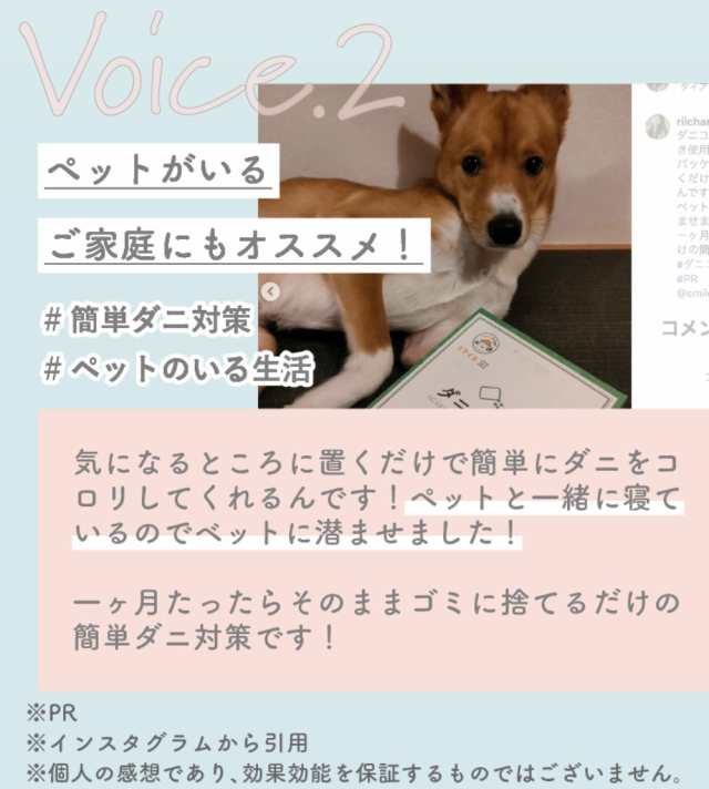 ダニコロリ 5枚 ダニ捕りシート ダニ取りシート ダニとりシート