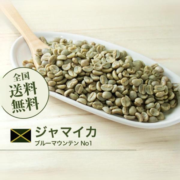 開店セール！コーヒー生豆 1kg ブルーマウンテンNo1 19/20クロップ ジャマイカ 送料無料 大山珈琲の通販は 9,010円