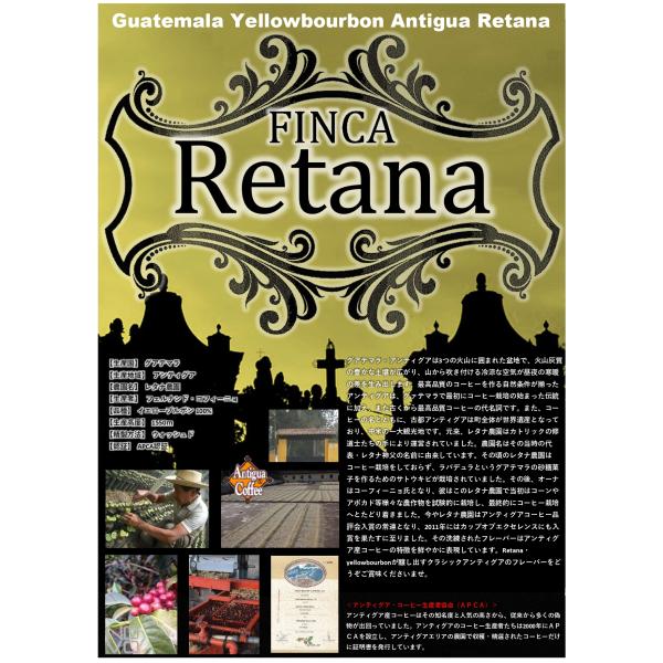 受注焙煎！2kg グアテマラ SHB アンティグア レタナ農園 イエローブルボン 2022年クロップ [選べる焙煎度合い] コーヒー豆 送料無料 大山珈琲 開店セールの通販は 6,123円