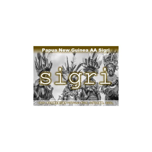 受注焙煎！2kg パプアニューギニア AA シグリ農園 [選べる焙煎度合い] コーヒー豆 送料無料 大山珈琲 開店セール 業務用 自家焙煎 卸の通販は 6,632円