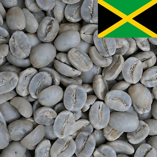 コーヒー 生豆 ブルーマウンテンNo1 クライスデール 送料無料【DRIP TRIP】1kgの通販は 8,640円