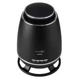 アピックスインターナショナル 360°セラミックヒーター APH-362