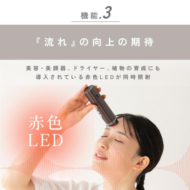 美顔器 リフトアップ EMS RF温熱 LED赤色 コンパクト美顔器 スティック