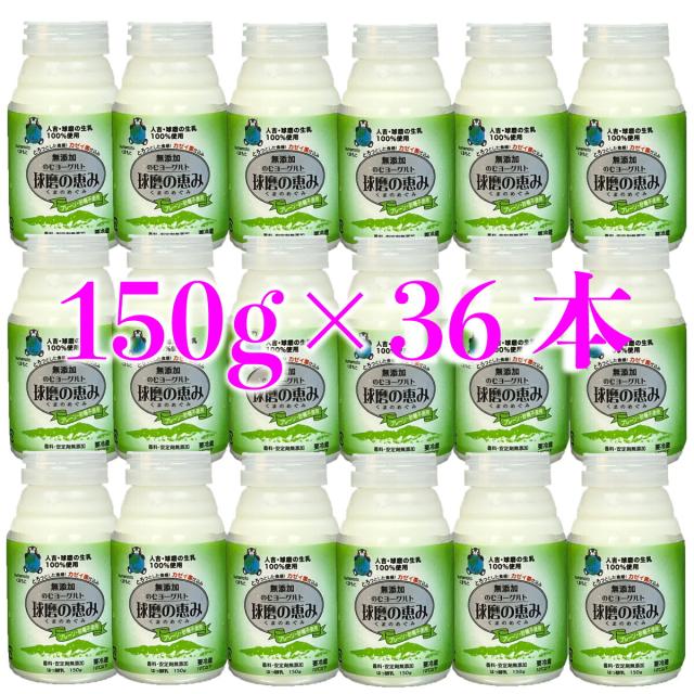 球磨の恵み　飲むヨーグルト　150ｇ×36本 （5.4キロ）人吉球磨の生乳を１００％使用した飲むヨーグルト ドリンクヨーグルト 腸活 カゼイ菌 もっちり とろーりの通販は 6,683円