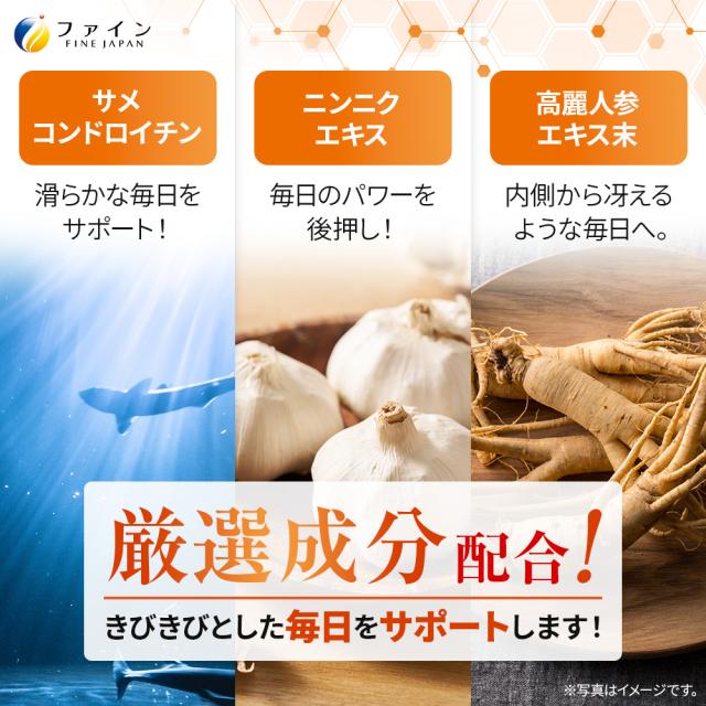 にんにくエキス粒 400日分(2000粒入) 無臭ニンニク使用 アリシン コンドロイチン 高麗人参エキス コンドロイチン ビタミンB1 B2 B6 配合 ファイン_2