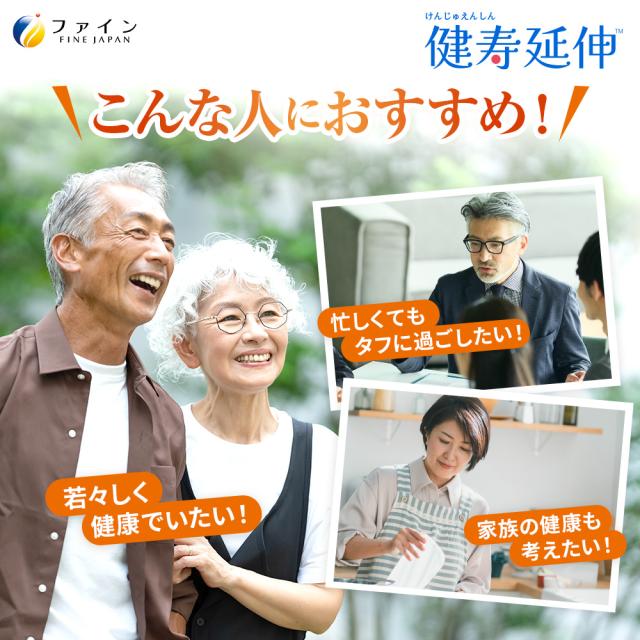 にんにくエキス粒 400日分(2000粒入) 無臭ニンニク使用 アリシン コンドロイチン 高麗人参エキス コンドロイチン ビタミンB1 B2 B6 配合 ファイン_1