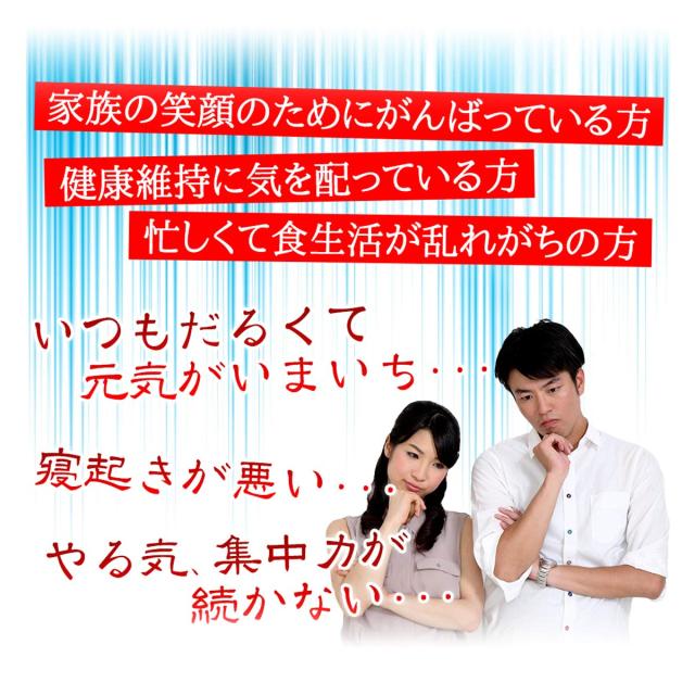 ファイン ファインパワー Prime 30日分×3個セット にんにく エキス末 380mg  DHA 360mg EPA 28.5mg DPA 3.2mg配合　美容 健康 食品の通販は