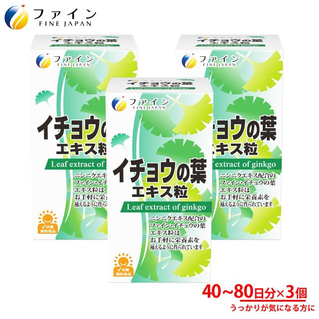 イチョウの葉エキス粒 3個セット 無臭 ニンニク エキス ビタミン B1 ビタミンB2 ビタミンB6 フラボノイド 配合 1日5〜10粒/400粒入  ファイン