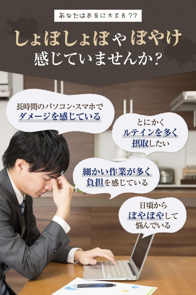 ルテイン サプリ ファイン ひとみの恵 30日分 × 5個 濃い アスタキサンチン ゼアキサンチン クリルオイル ビルベリーエキス 末 ビタミン マリーゴールド ブルーライト アイケア デジタルケア パソコン スマホ サプリ フリー体_3