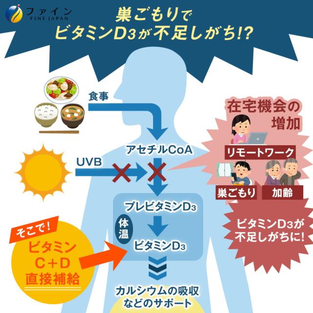 イオンドリンク C・Dプラス 22本 30個セット (1 ケース ) レモン味 ビタミンC ビタミンD スポドリ ドリンク 粉 パウダー 粉末タイプ インスタント 500ml 水分 補給 運動 スポーツ お風呂上り ミネラル