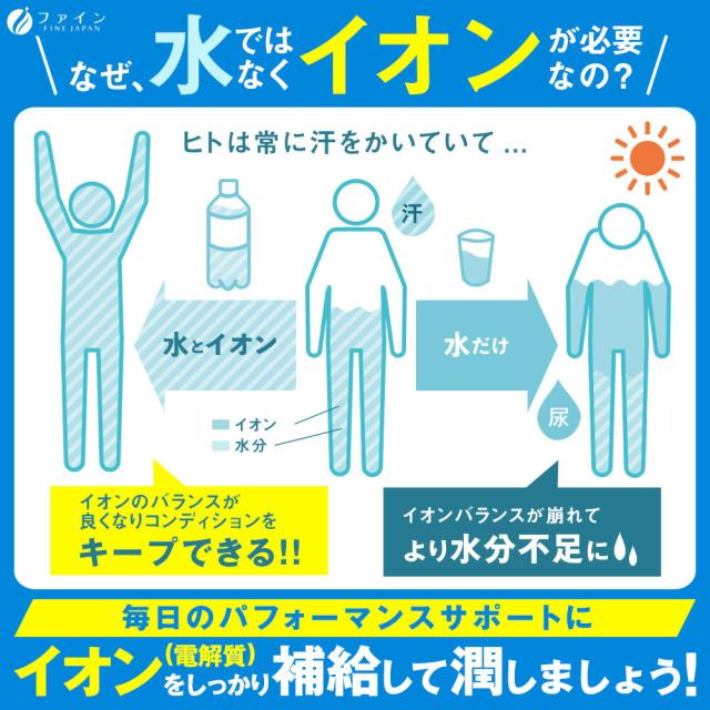 スポーツ ドリンク イオンドリンク 乳酸菌プラス 20本入 30個セット ヨーグルト風味　低カロリー 砂糖 脂質 保存料 着色料 ゼロ ビタミンC 乳酸菌飲料 粉 パウダー 粉末タイプ 500ml 水分 補給 運動 ファイン