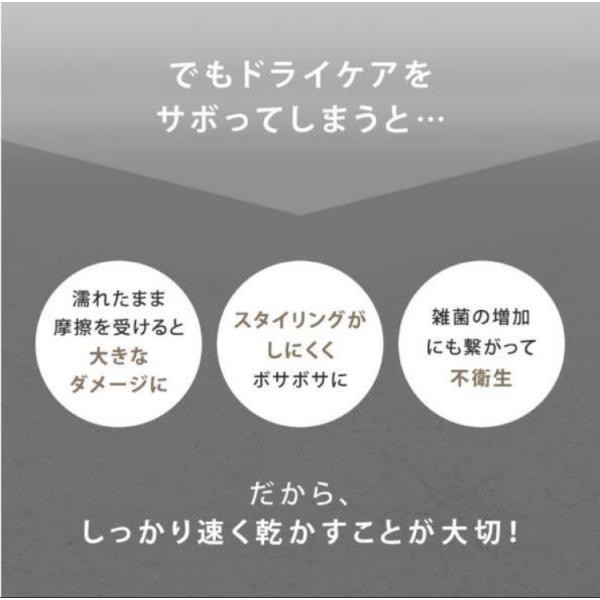 【限定色】SALONIA サロニア スピーディーイオンドライヤー  大風量 速乾 軽量 マイナスイオン 折り畳み式 ヘアドライヤーユニバースローズ 冷温3段階調整の通販は