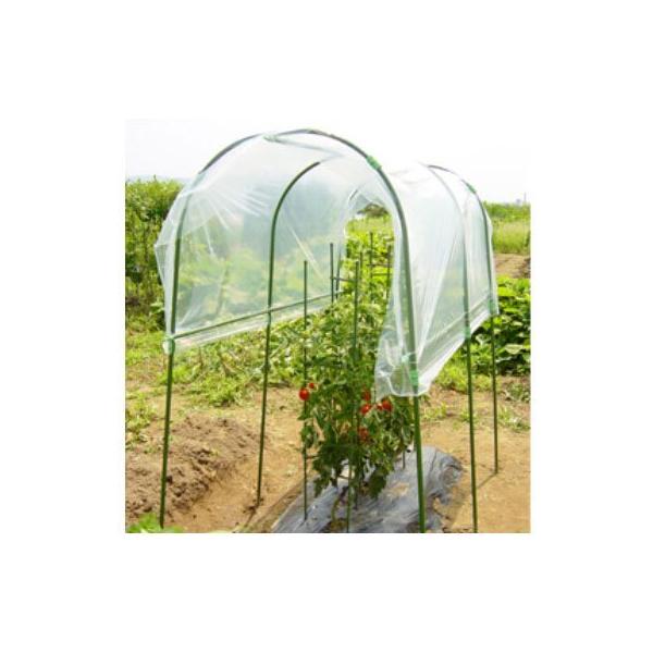 家庭菜園用雨よけセット 園芸 トマト ナス ハウス ビニール 第一ビニール DAIM【送料無料】の通販は 10,800円
