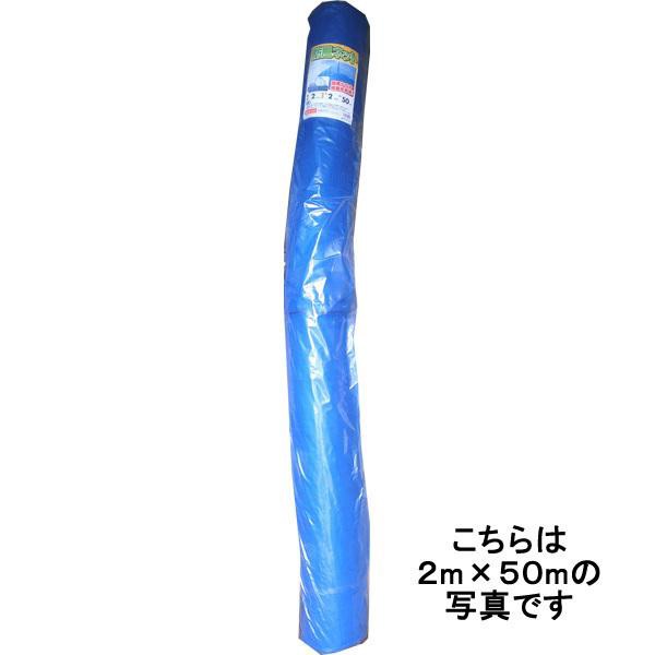 シンセイ　防風ネット　４mm目合　３m×５０mの通販は