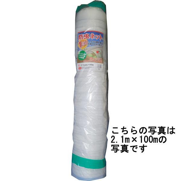 防虫ネット　１mm目合　2.1m×20m　防虫網【送料無料】