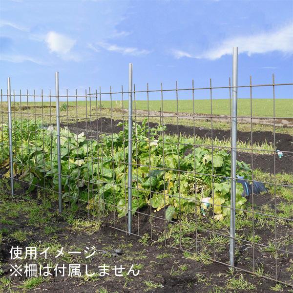 南栄工業 防獣パイプ Φ19.1mm×1.8m（入数 30本）_4