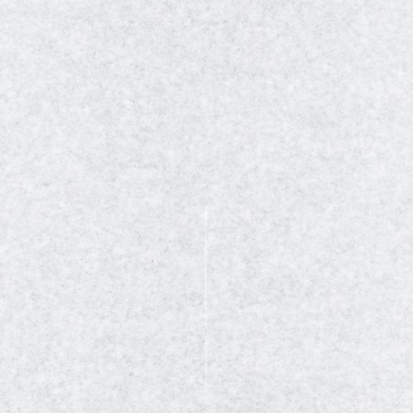 【5000枚】星野　ロー引傘　240角　ぶどう　果樹　保護　鳥よけ