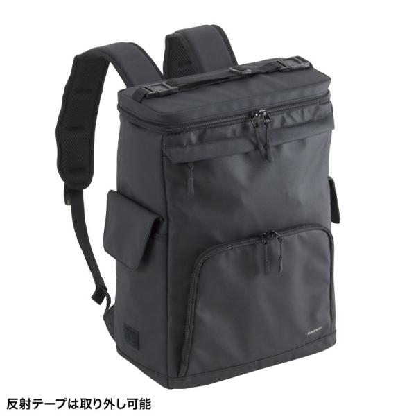 GALLARDAGALANTE -3kg見えパンツ サンワサプライ FARVIS リュック(17リットル) 2-300