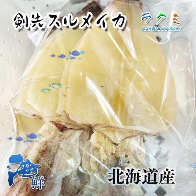 剣先スルメイカ 500g (1枚25〜40g）するめいか 北海道産 絶品スルメイカ