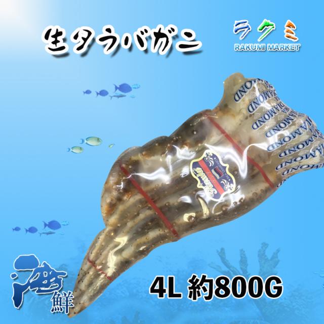 蟹 ギフト カニ タラバガニ足 4L サイズ 800g前後 いくら 80g 2個 ほたて 300g 2人前 たらばがに 帆立 ホタテ 蟹 脚