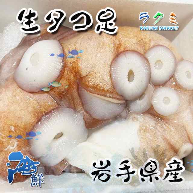 生タコ足 皮付き 約３kg 岩手県産 タコ たこ 蛸 お刺身 バター焼き 寿司ネタ カルパッチョ