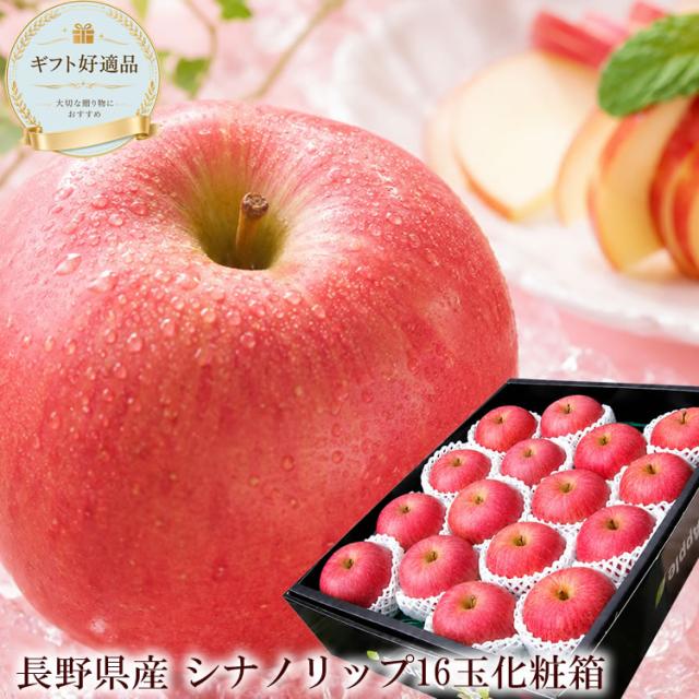 シナノリップ 長野県産 秀品 夏りんご 送料無料 信州産 リンゴ 林檎 フルーツ ギフト 贈答用 お取り寄せ [シナノリップ16玉エコ包装] 7,020円