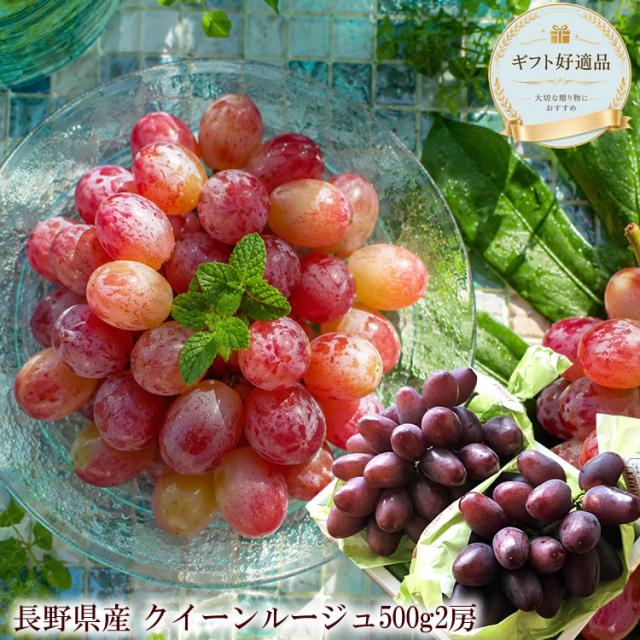 赤いシャインマスカット レッドシャインの異名を持つ 長野県産 ぶどう ブドウ 葡萄 長野県 [クイーンルージュ2房]