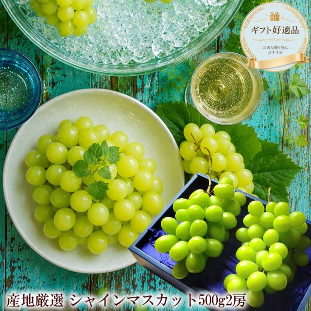 シャインマスカット お中元 暑中お見舞い 残暑お見舞い お取り寄せ シャインマスカットギフト 夏の贈り物 夏ギフト お世話になった方へ贈り物 種無し皮ごと食べられる 産地厳選 [シャインマスカット2房] 1房あたり500ｇ 冷蔵便