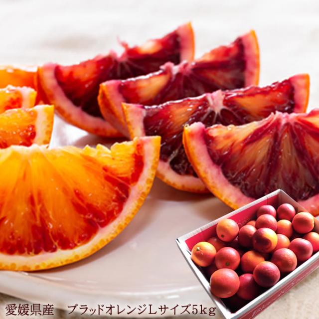 血のオレンジと呼ばれる国産ブラッドオレンジ 愛媛県産[ブラッドオレンジ5kg] モロ種 タロッコ種の通販は 5,724円