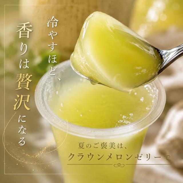 お中元 夏ギフト ゼリーギフト フルーツゼリー メロンゼリー 静岡県産