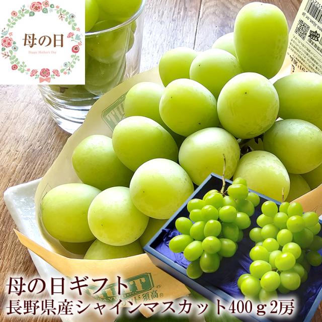 シャインマスカット 長野県産 母の日 ギフト 高級フルーツ 贈答用 旬先取り 希少 化粧箱入り プレゼント 送料無料 [シャインマスカット母の日2房] 1房当たり400g