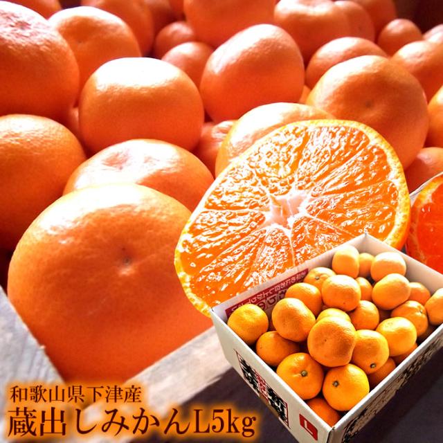 みかん 蔵出し 料無料 和歌山県下津産 [ 蔵出しみかんL5kg ] 本貯蔵みかんの通販は