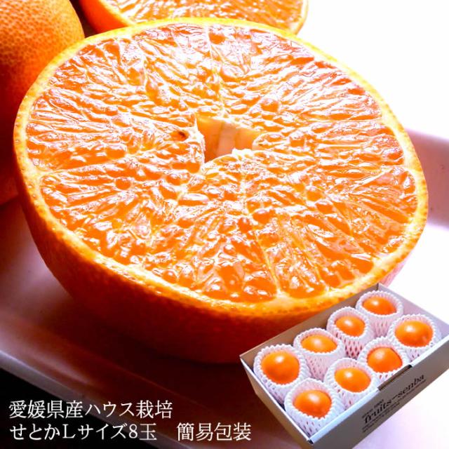 せとか みかん 大トロ 送料無料 フルーツギフト 愛媛県産[せとかＬ8玉簡易包装] 内祝い お祝い お見舞い お供えの通販は 6,680円