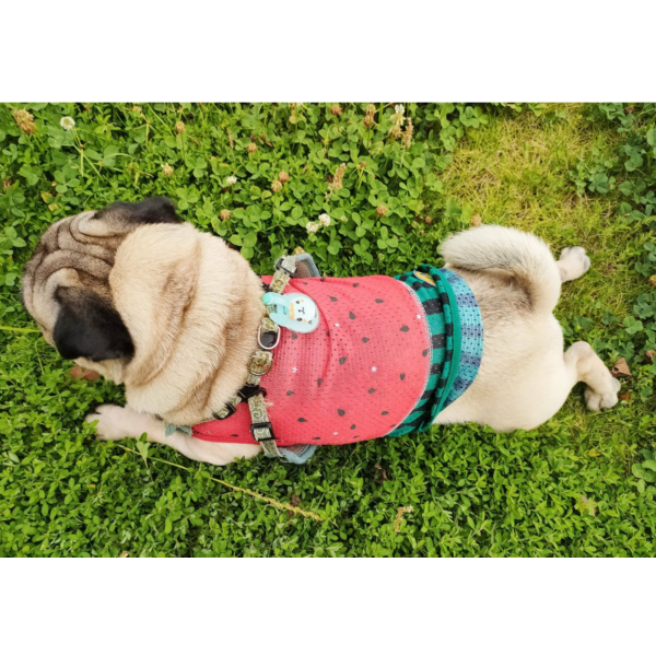 犬の服 メッシュ タンクトップ すいか S〜XLチワワ トイ