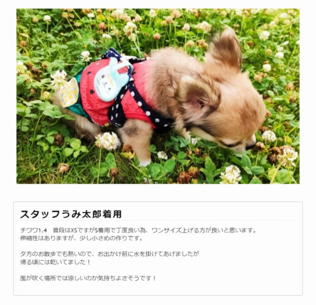犬の服 メッシュ タンクトップ すいか チワワ トイプードル パグ